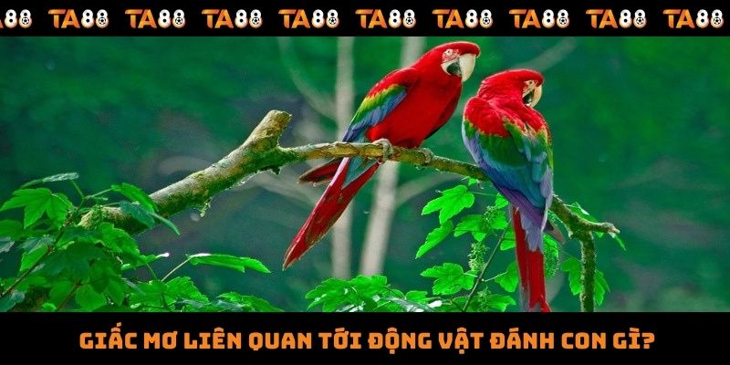 Giấc mơ liên quan tới động vật đánh con gì?